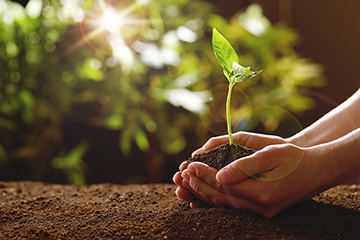 土壤放化前處理